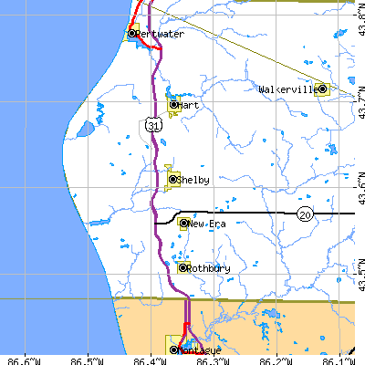 Zip code 49455 close-up map