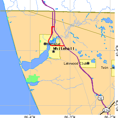 Zip code 49461 close-up map