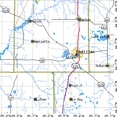 Zip code 49601 close-up map