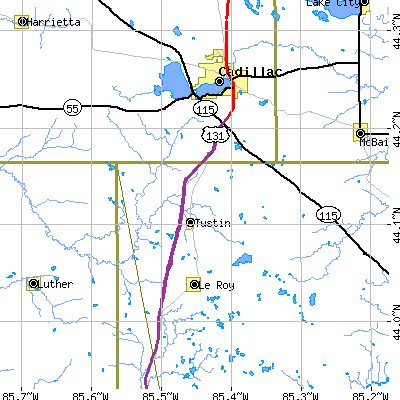 Zip code 49688 close-up map