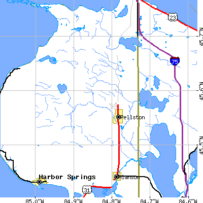 Zip code 49769 close-up map