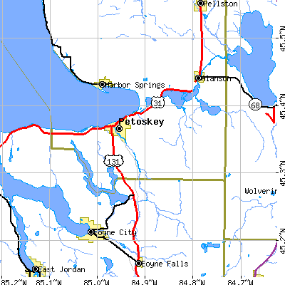 Zip code 49770 close-up map