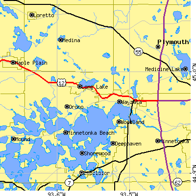 Zip code 55391 close-up map
