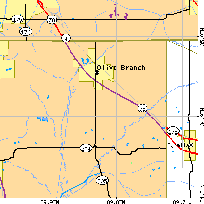 Zip code 38654 close-up map