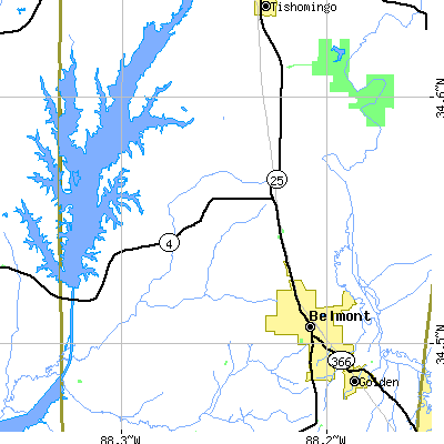 Zip code 38838 close-up map
