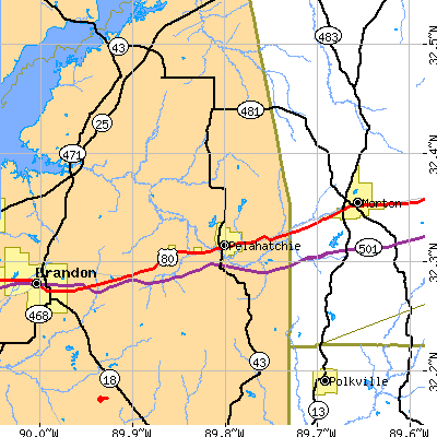 Zip code 39145 close-up map