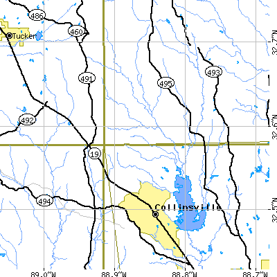 Zip code 39325 close-up map