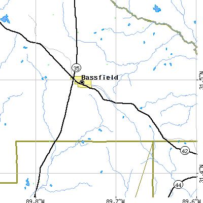 Zip code 39421 close-up map