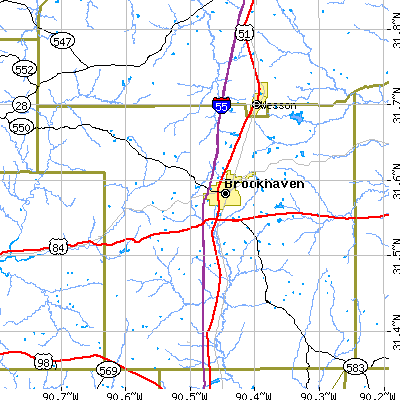Zip code 39601 close-up map
