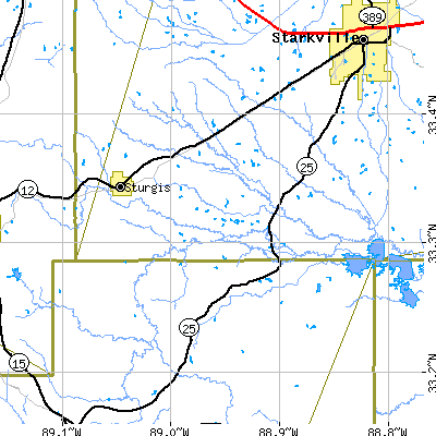 Zip code 39769 close-up map