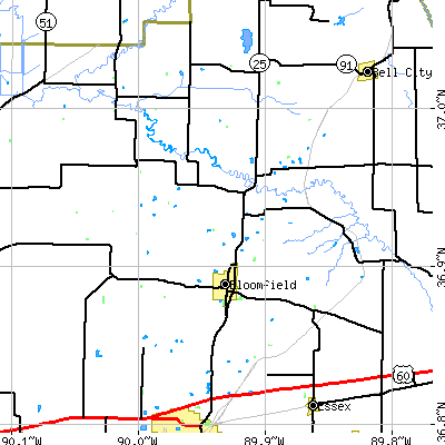 Zip code 63825 close-up map