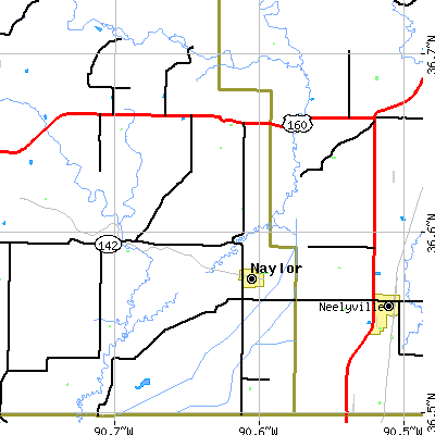 Zip code 63953 close-up map