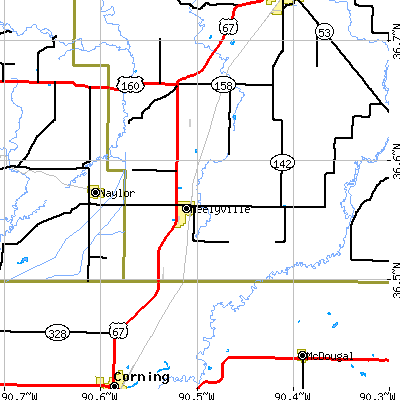 Zip code 63954 close-up map