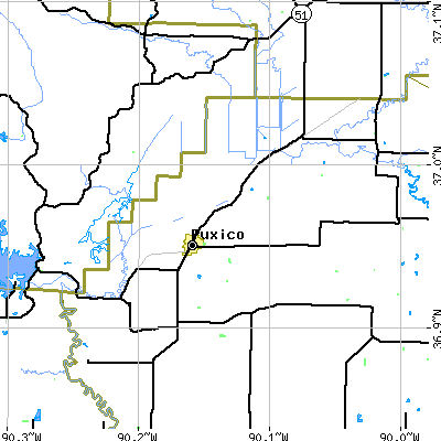 Zip code 63960 close-up map