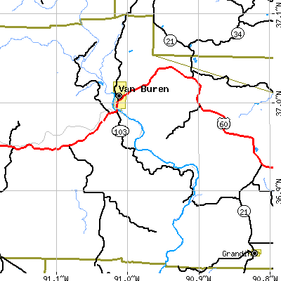 Zip code 63965 close-up map