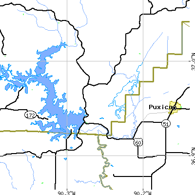 Zip code 63966 close-up map