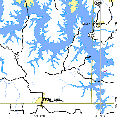 Zip code 65611 close-up map