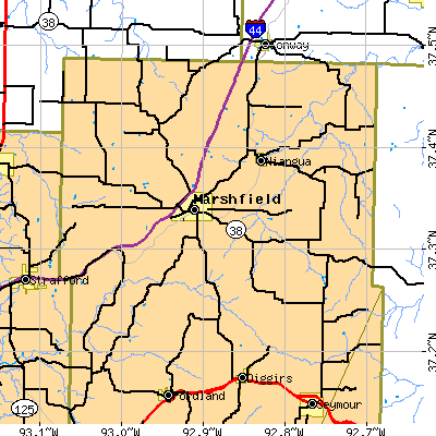 Zip code 65706 close-up map