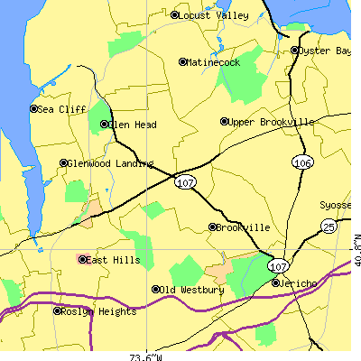 Zip code 11545 close-up map