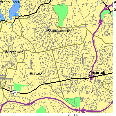 Zip code 11731 close-up map
