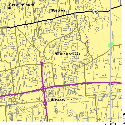 Zip code 11738 close-up map
