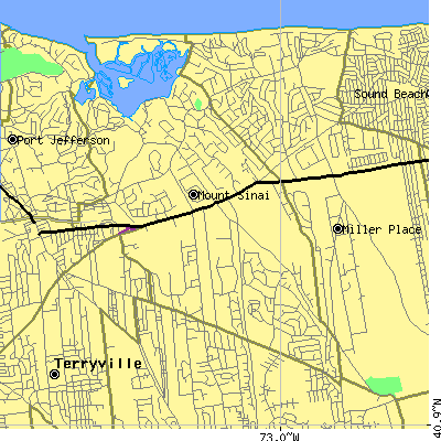 Zip code 11766 close-up map