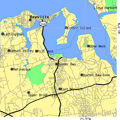 Zip code 11771 close-up map