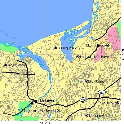 Zip code 11780 close-up map