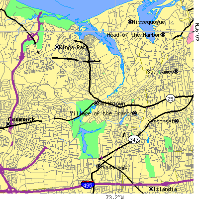 Zip code 11787 close-up map