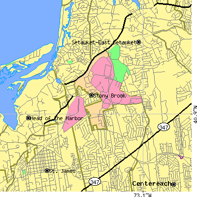 Zip code 11790 close-up map