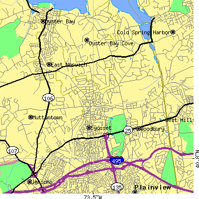 Zip code 11791 close-up map