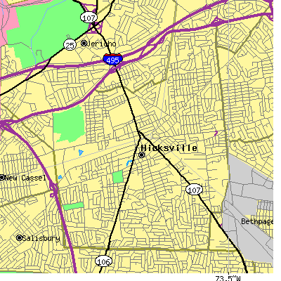 Zip code 11801 close-up map