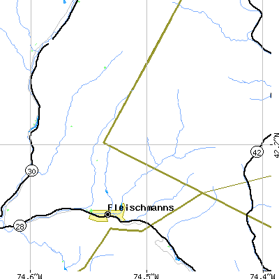 Zip code 12430 close-up map