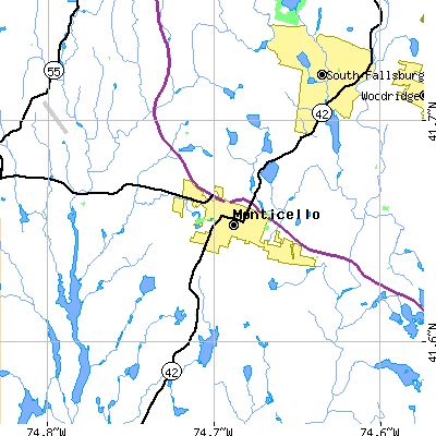 Zip code 12701 close-up map