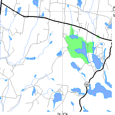 Zip code 12720 close-up map