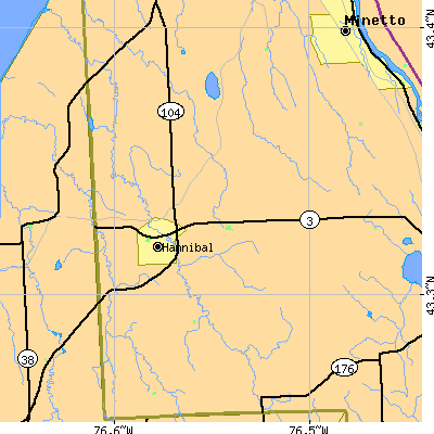 Zip code 13074 close-up map