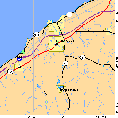 Zip code 14063 close-up map