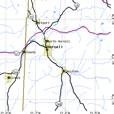 Zip code 14843 close-up map