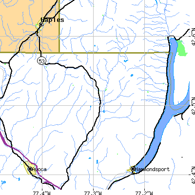 Zip code 14873 close-up map