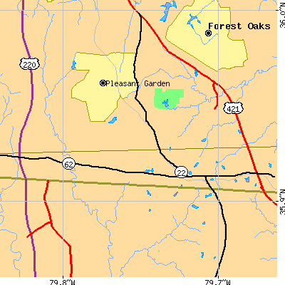 Zip code 27313 close-up map