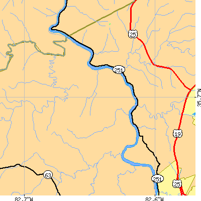Zip code 28701 close-up map