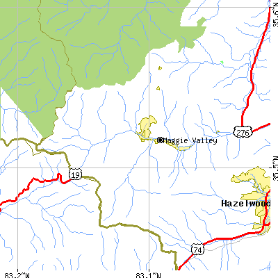 Zip code 28751 close-up map