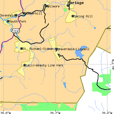 Zip code 15955 close-up map