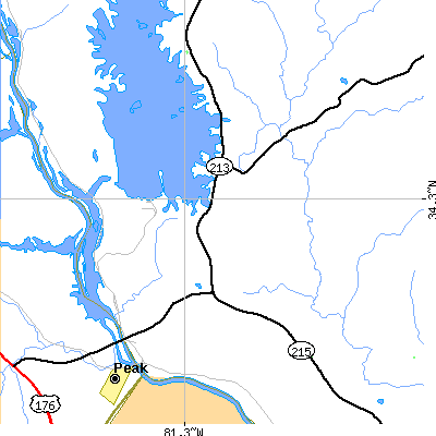 Zip code 29065 close-up map