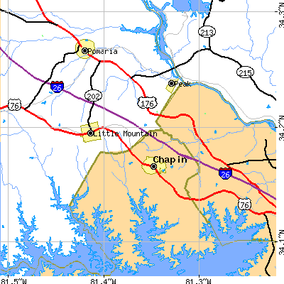 Zip code 29075 close-up map