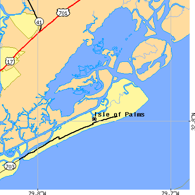 Zip code 29451 close-up map