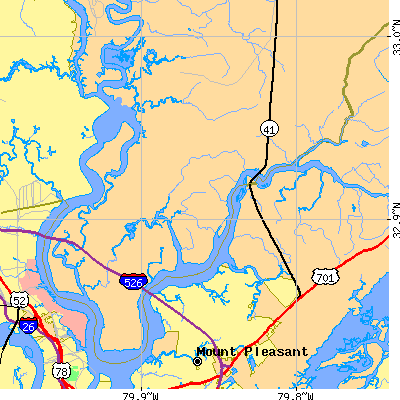 Zip code 29492 close-up map