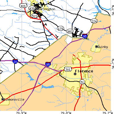 Zip code 29501 close-up map