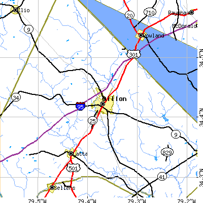 Zip code 29536 close-up map