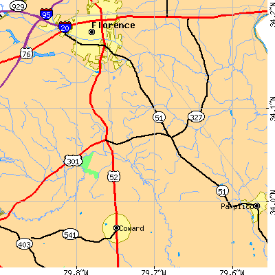 Zip code 29541 close-up map